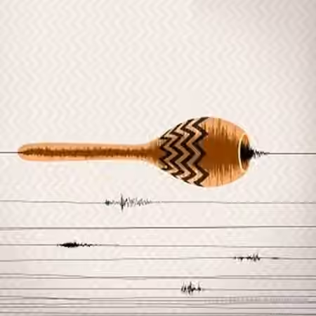 Samplephonics Electroacoustic Shaker Percussion [WAV, REX, AiFF]