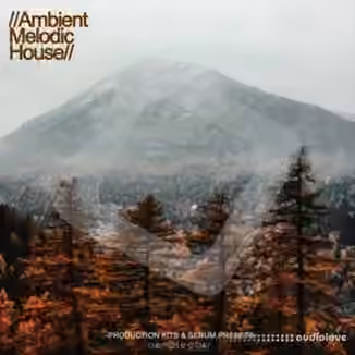 Samplestar Ambient Melodic House [WAV, MiDi, Synth Presets]