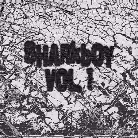 SHARKBOY Kit Collection Vol.1 [WAV, MiDi, Synth Presets]