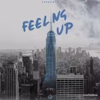 Shobeats Feeling Up [WAV, MiDi, Synth Presets]