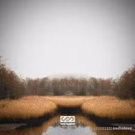 Soul Surplus Deep Marsh (Drum Kit) [WAV]