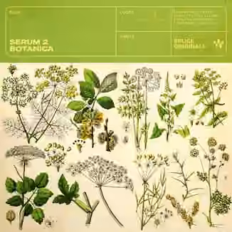 Splice Originals Serum 2 Botanica [WAV, Synth Presets]