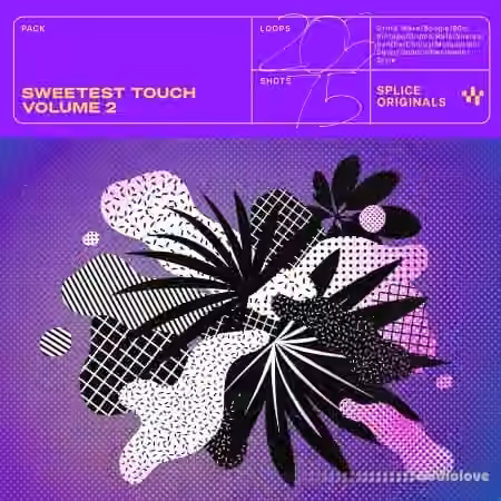 Splice Originals Sweetest Touch Vol.2 [WAV]