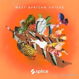 Splice Sessions West African Voices [WAV]