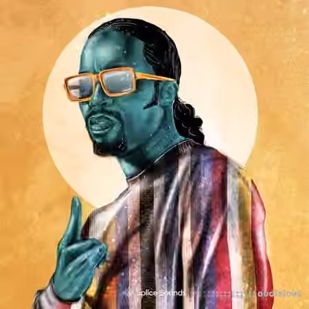 Splice Sounds D─üM-FunK: Modern-Funk Sample Pack [WAV, Synth Presets]