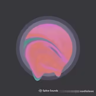 Splice Sounds Gill Chang Words Unspoken Sample Pack [WAV, Synth Presets]