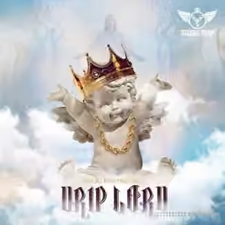 Studio Trap Drip Lord [WAV, MiDi, Synth Presets]