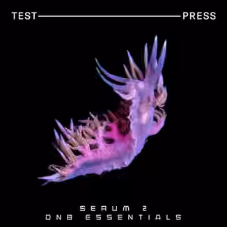 Test Press Serum 2 DnB Essentials [Synth Presets]