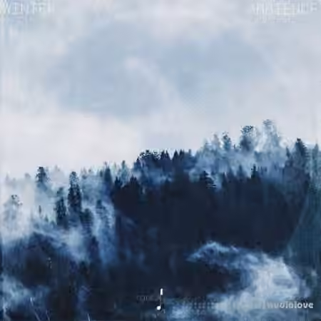 Touch Loops Winter Ambience [WAV] - Sample Pack Artwork