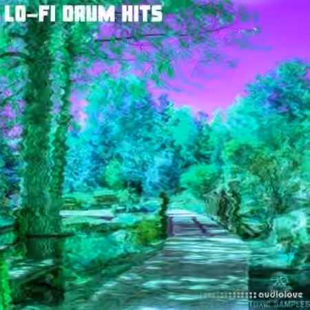 Toxic Samples LO FI Drum Hits [WAV] - Sample Pack Artwork
