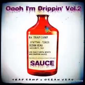 Trap Camp X Ocean Veau Oooh I'm Drippin drum kit Vol.2 [WAV, Synth Presets]