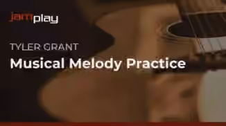 Truefire Tyler Grant's Musical Melody Practice [TUTORiAL]