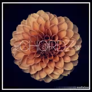 Unmute Chordz Kits [WAV, MiDi, Synth Presets]