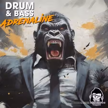 Vanilla Groove Studios Drum And Bass Adrenaline Vol 1 [WAV]