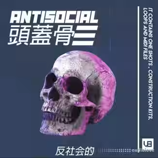 Vb Got Heat Antisocial [WAV, MiDi]
