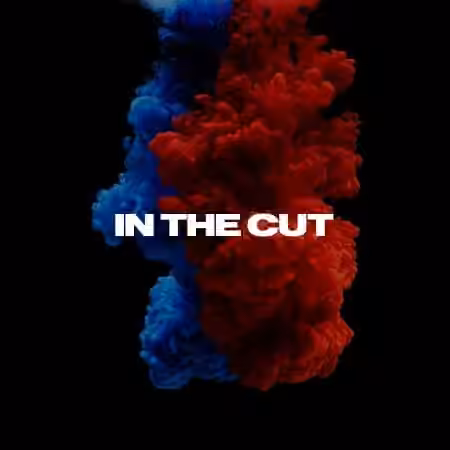 W6RST Tim Henson In The Cut Tabs + Backing Track
