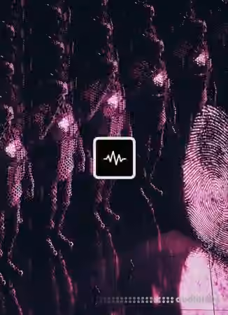 WavSupply Nick Mira Luna [Synth Presets]