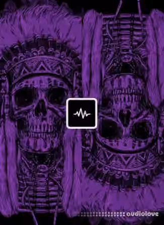 WavSupply Roy Major Apache (Electra X Bank) [Synth Presets]