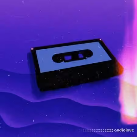 WeTheSound Lost Tapes : Vintage Samples Vol. 2 [WAV]