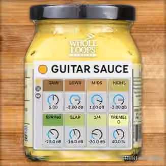 WHOLE LOOPS Guitar Sauce [Synth Presets]