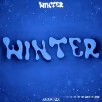 ZOBO2X Winter Pain Multi Kit [WAV, MiDi, Synth Presets]